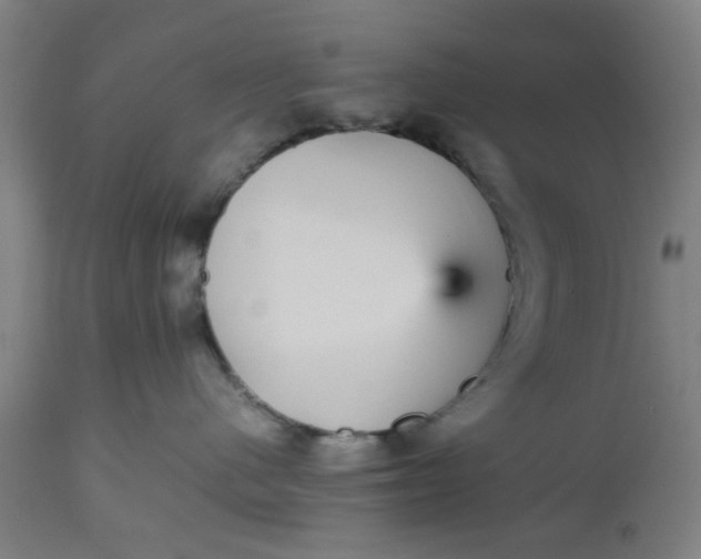 X0000112470480200909071138