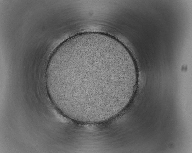 X0000112470481200909071137