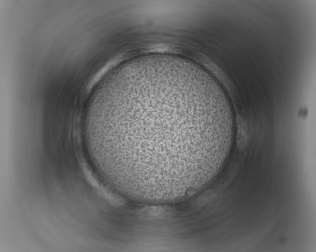 X0000112470482200909071137