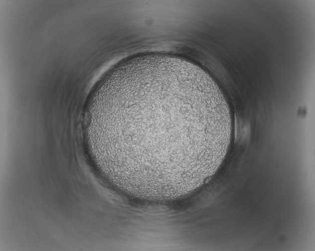 X0000112470483200909071137