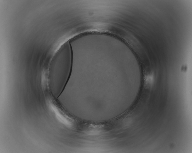 X0000112470484200909071137