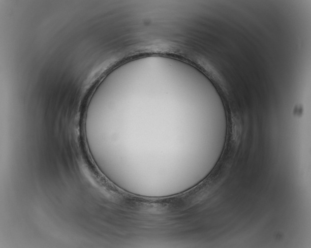 X0000112470486200909071137