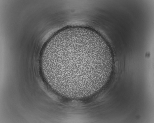 X0000112470487200909071137