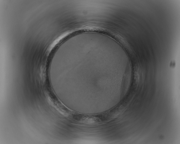 X0000112470488200909071137