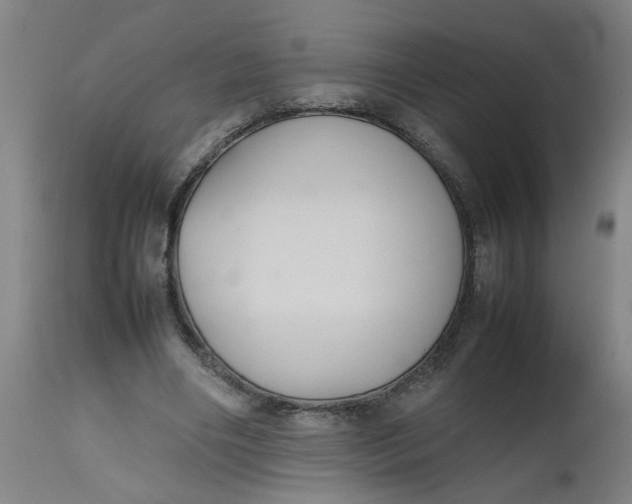 X0000112470490200909071137