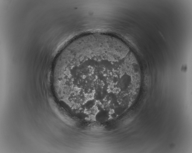 X0000112470491200909071137