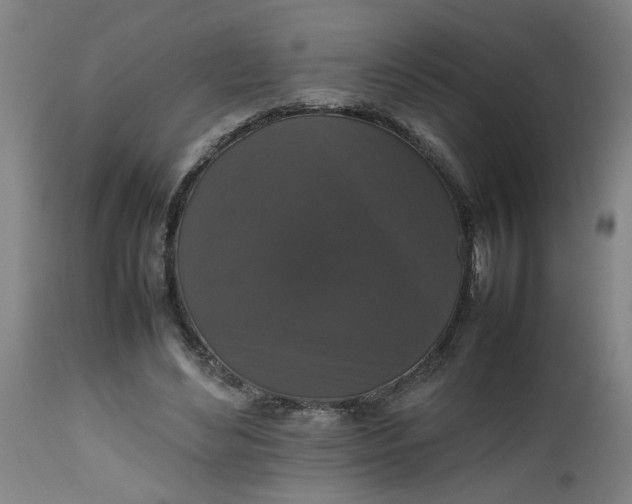 X0000112470492200909071137