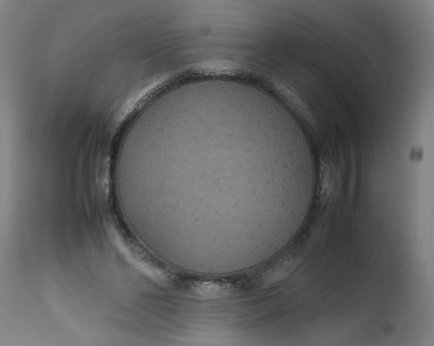 X0000112470494200909071137