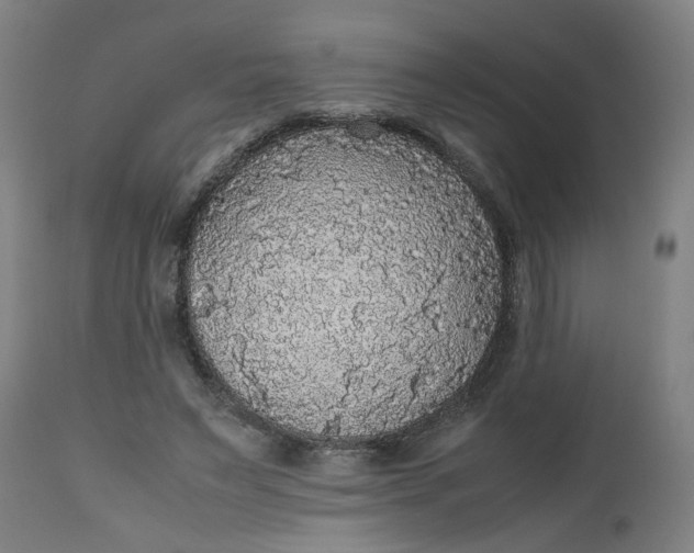 X0000112470495200909071137