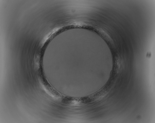 X0000112470496200909071137