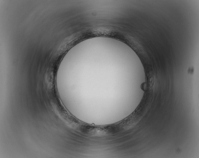 X0000112470498200909071137