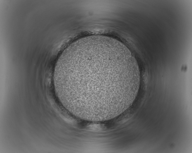 X0000112470499200909071137