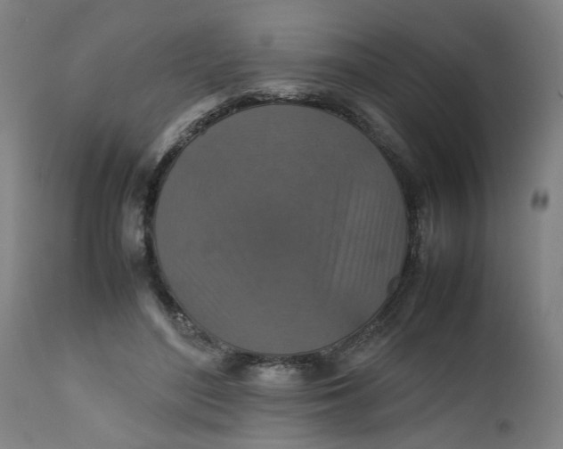 X0000112470500200909071137