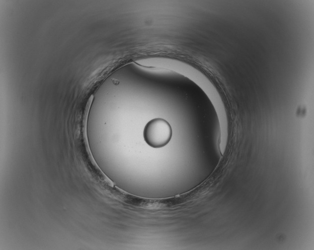 X0000112470501200909071137