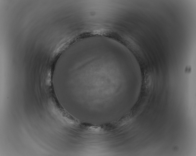 X0000112470502200909071137