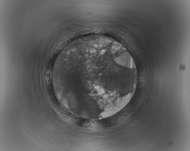 X0000112470503200909071137