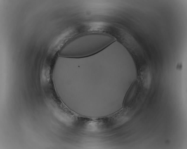 X0000112470504200909071137