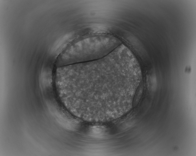 X0000112470508200909071136