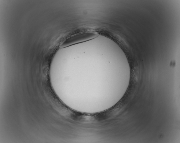 X0000112470509200909071136