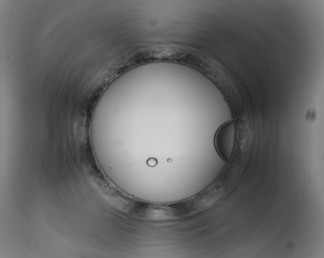 X0000112470510200909071136