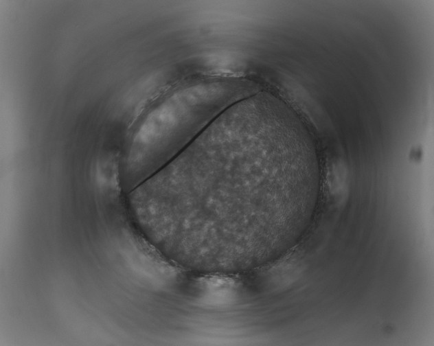 X0000112470512200909071136