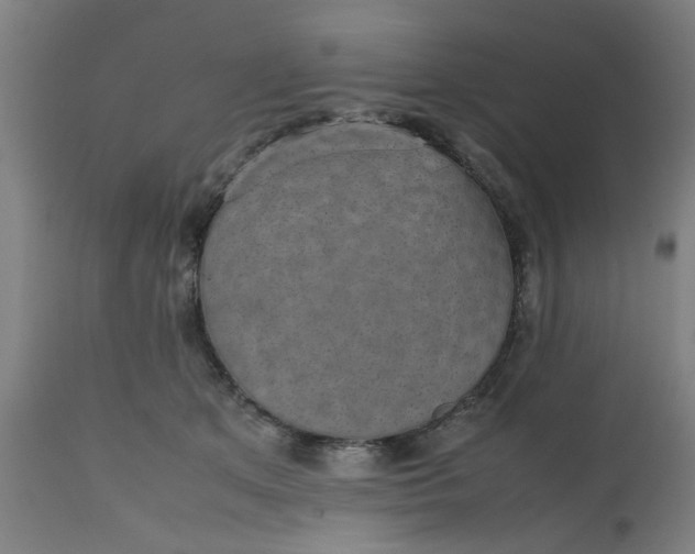 X0000112470513200909071136