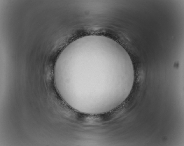 X0000112470515200909071136