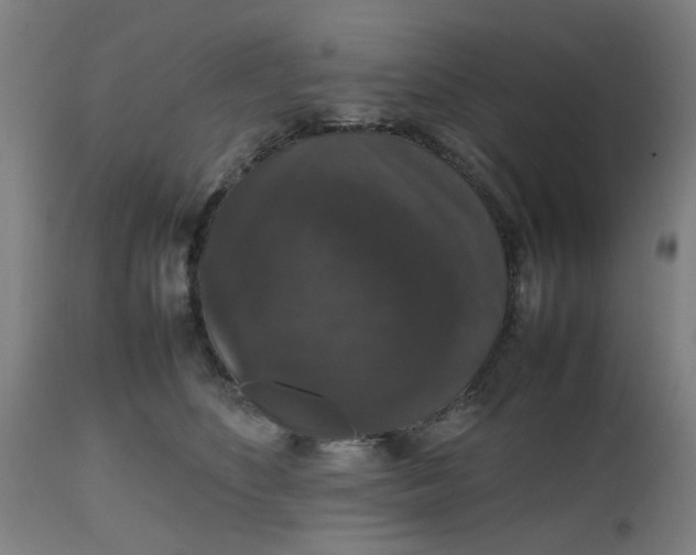 X0000112470516200909071136