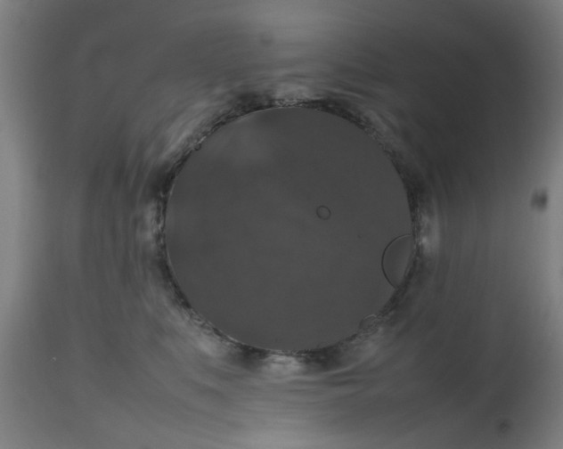 X0000112470519200909071136