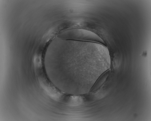 X0000112470520200909071136