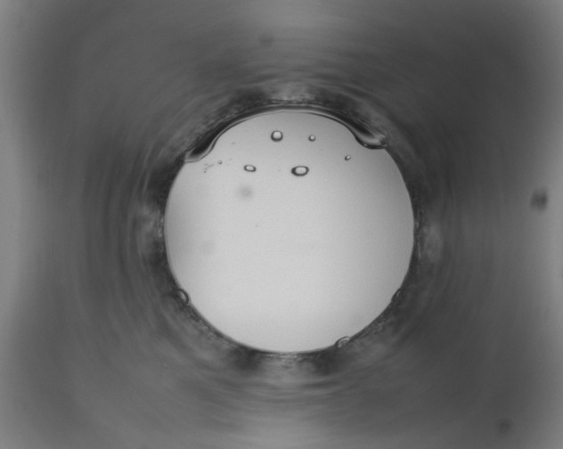 X0000112470521200909071136