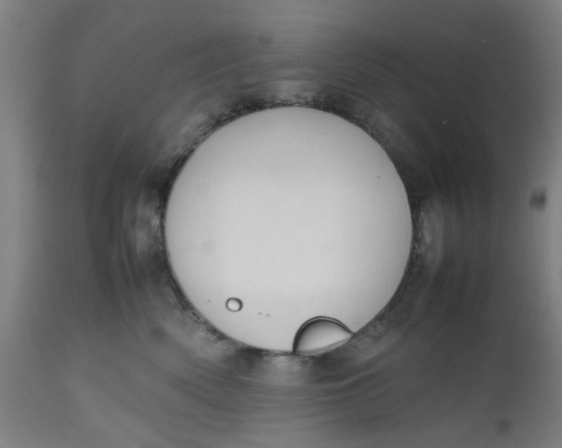 X0000112470522200909071136