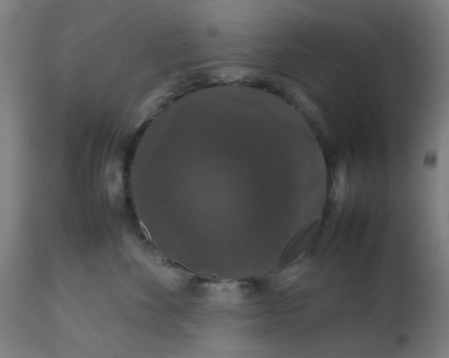 X0000112470524200909071136