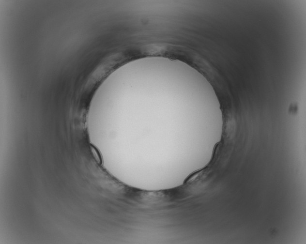 X0000112470525200909071136