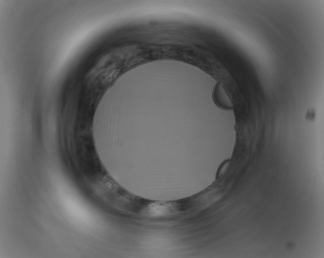 X0000112470526200909071136