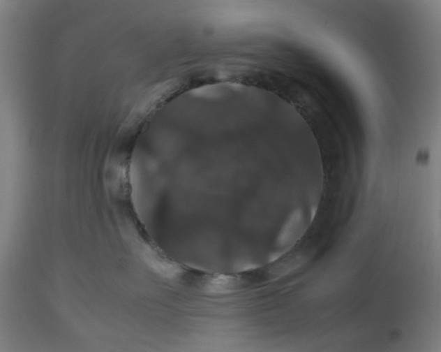 X0000112470527200909071136