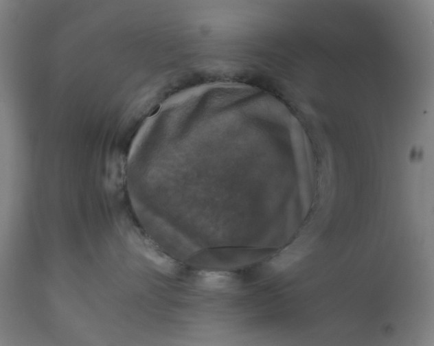 X0000112470528200909071136