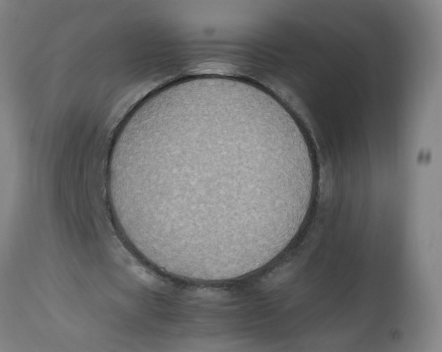 X0000112470529200909071135