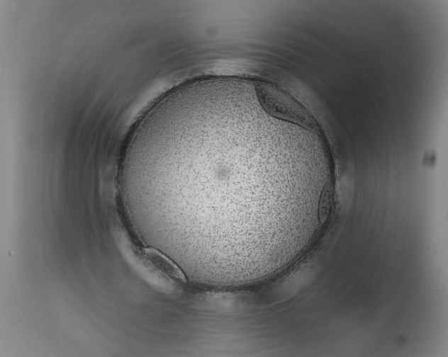 X0000112470530200909071135