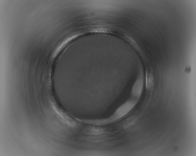 X0000112470531200909071135