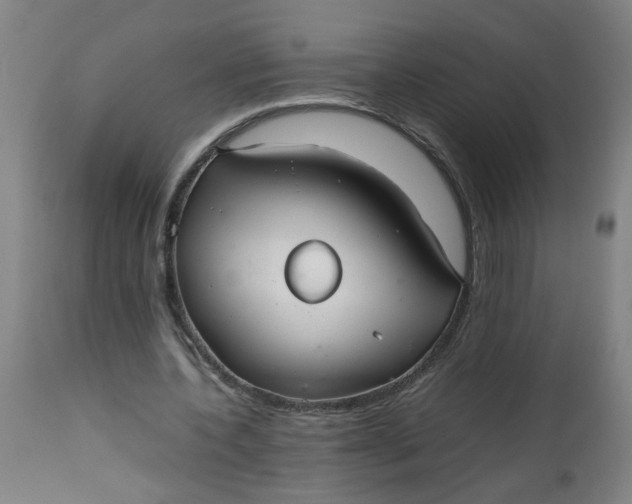 X0000112470532200909071135