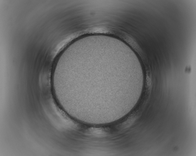 X0000112470534200909071136