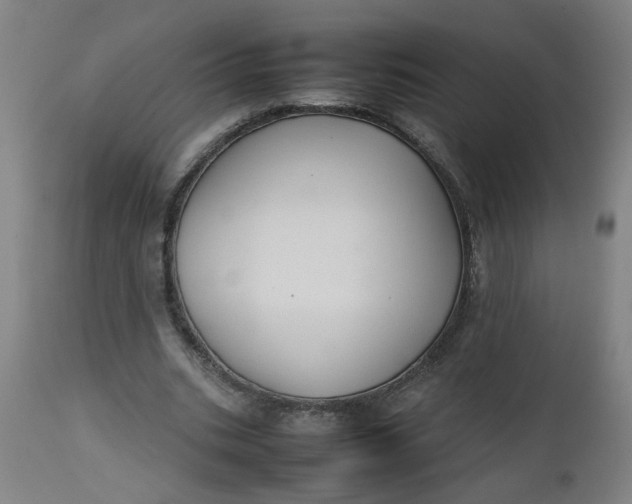 X0000112470535200909071136