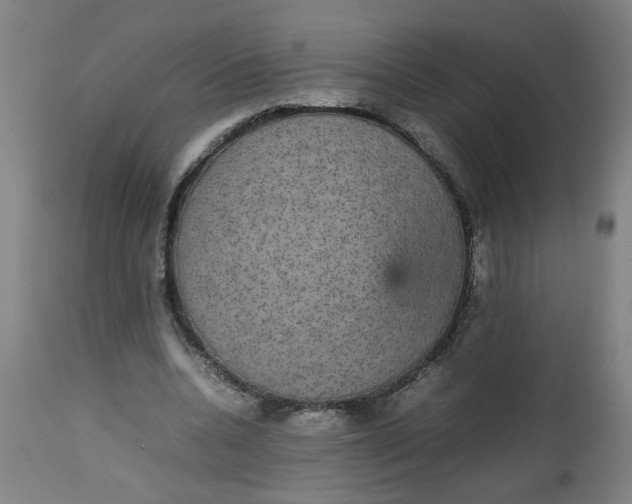 X0000112470536200909071136