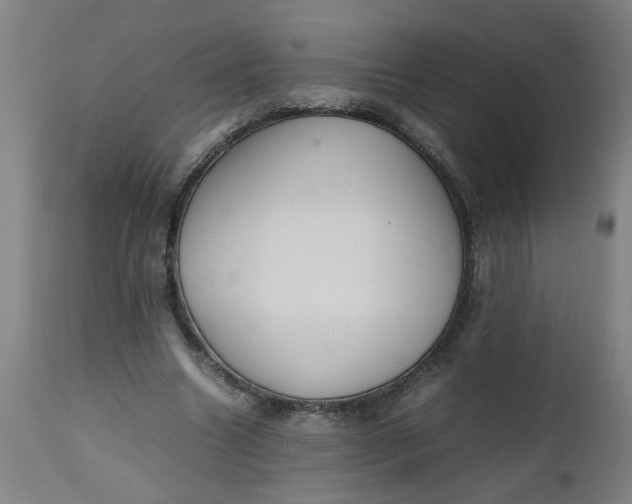 X0000112470538200909071136