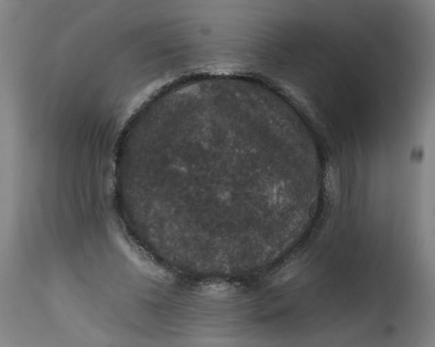 X0000112470540200909071136