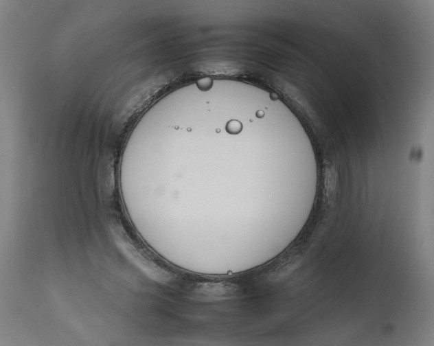 X0000112470541200909071136