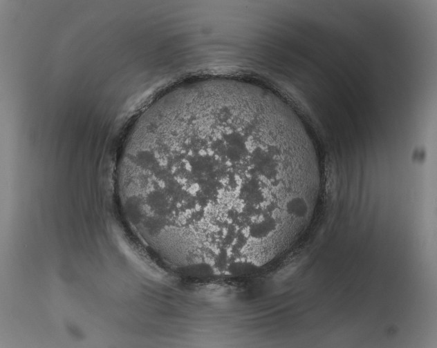 X0000112470542200909071136