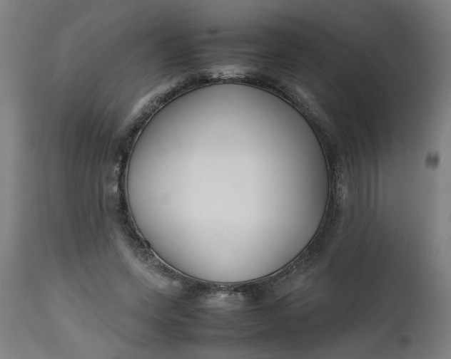 X0000112470543200909071136