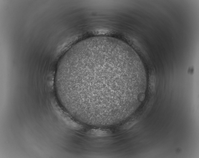 X0000112470545200909071136